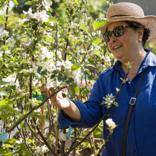 Frühlingsfest in den Späthschen Baumschulen